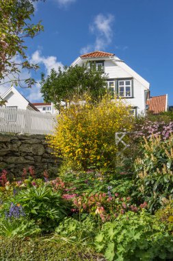 Norveç 'teki Stavanger şehri.