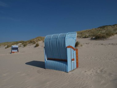 Kuzey Denizi 'nde yaz zamanı