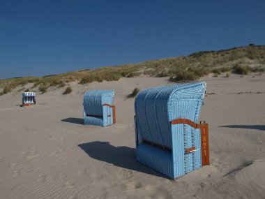 Kuzey Denizi 'nde yaz zamanı