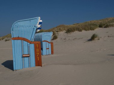 Kuzey Denizi 'nde yaz zamanı