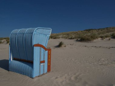 Kuzey Denizi 'nde yaz zamanı