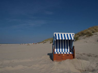 Kuzey Denizi 'nde yaz zamanı