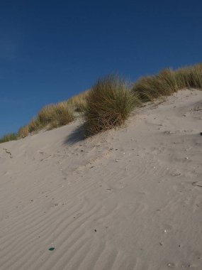 Kuzey Denizi 'nde yaz zamanı