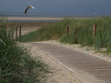 Kuzey denizindeki langeoog adası.