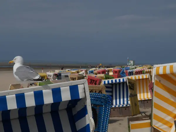 stock image Langeoog island in the north sea