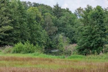 Gemen köyü ve eski şatosu.