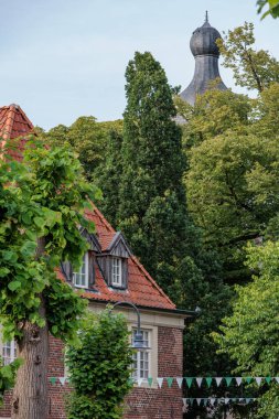 Alman bahçesindeki yıldız çiçekleri