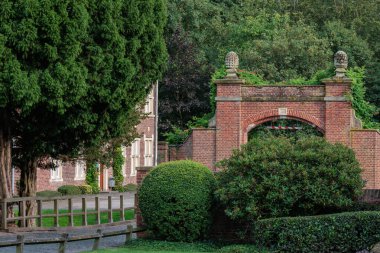 Alman bahçesindeki yıldız çiçekleri