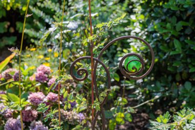 Alman Muensterland 'inde bir bahçede yaz zamanı