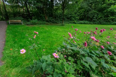 Westphalia 'daki Raesfeld Kalesi.