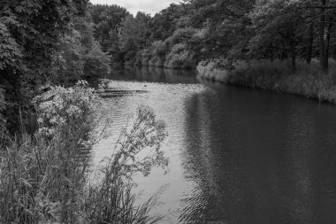 Hollanda 'da Eibergen' de yaz mevsimi.