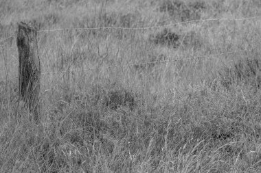 Hollanda 'da Eibergen' de yaz mevsimi.