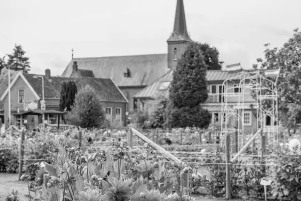 stock image summer time in eibergen inthe dutch achterhoek