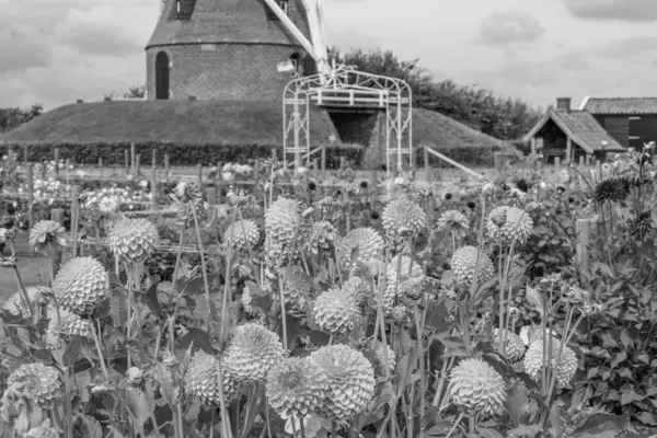 stock image summer time in eibergen inthe dutch achterhoek