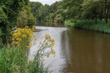 Flamandaki Eibergen achterhoek