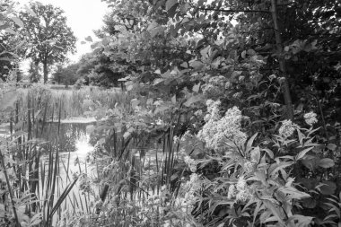 Hollandalı achterhoek 'te yürüyüş