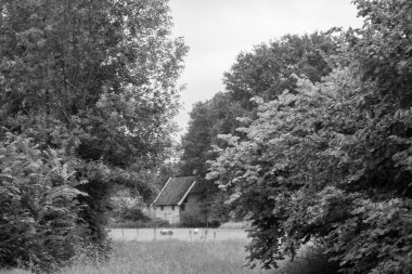 Hollandalı achterhoek 'te yürüyüş