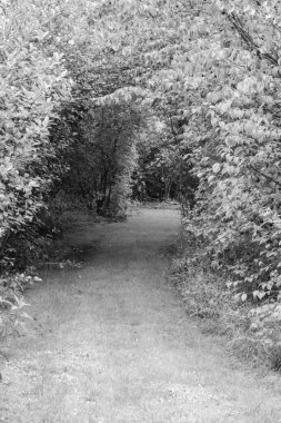 Hollandalı achterhoek 'te yürüyüş