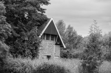 Hollandalı achterhoek 'te yürüyüş