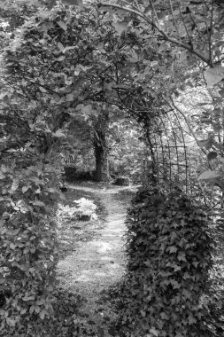 Hollandalı achterhoek 'te yürüyüş