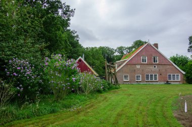 Hollandalı achterhoek 'te yürüyüş