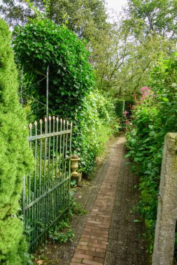 Hollandalı achterhoek 'te yürüyüş