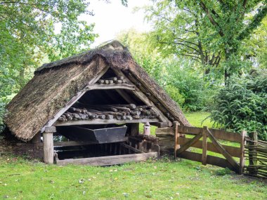 Bad Zwischenahn şehri Almanya 'da bir gölde