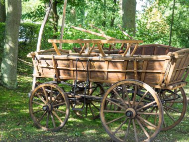 Bad Zwischenahn şehri Almanya 'da bir gölde