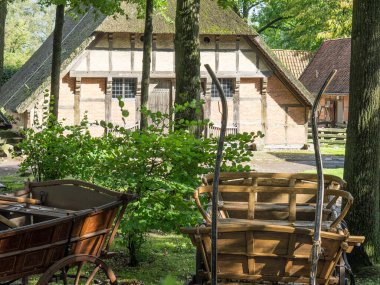 Bad Zwischenahn şehri Almanya 'da bir gölde