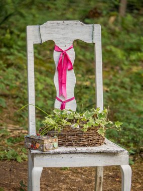 Westphalia 'da bir parkta yaz.