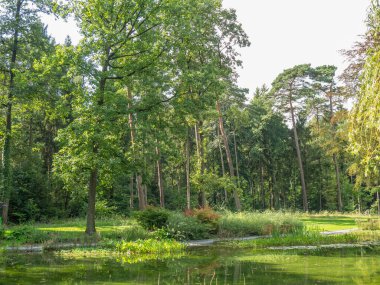 Westphalia 'da bir parkta yaz.