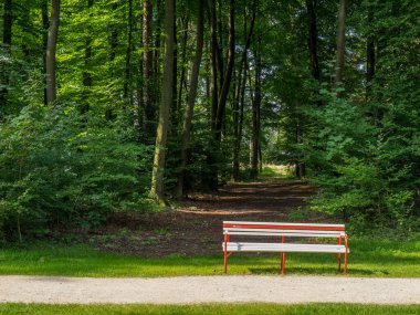 Westphalia 'da bir parkta yaz.