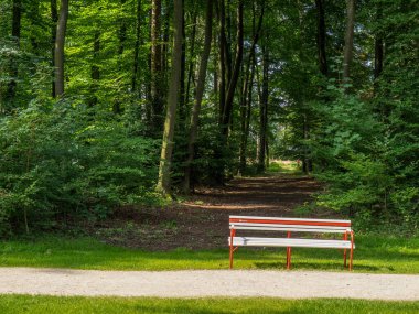 Westphalia 'da bir parkta yaz.