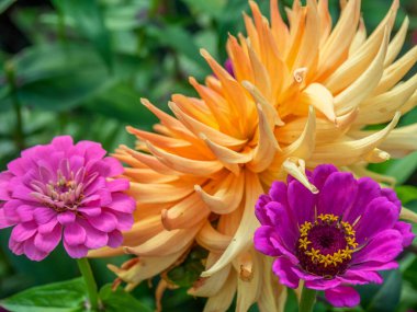 Almanya 'da Paderborn yakınlarında eski bir şato ve park