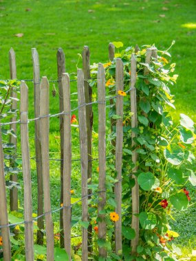 Almanya 'da Paderborn yakınlarında eski bir şato ve park
