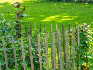 Almanya 'da Paderborn yakınlarında eski bir şato ve park
