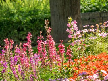 Almanya 'da Paderborn yakınlarında eski bir şato ve park