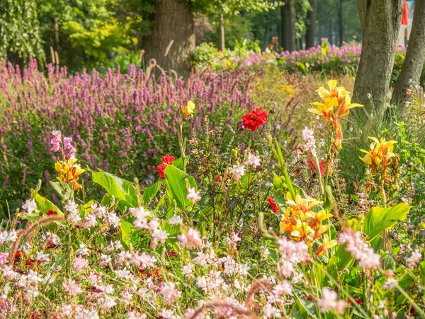 stock image summer in a park in westphalia