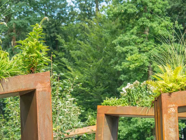 stock image summer in a park in westphalia