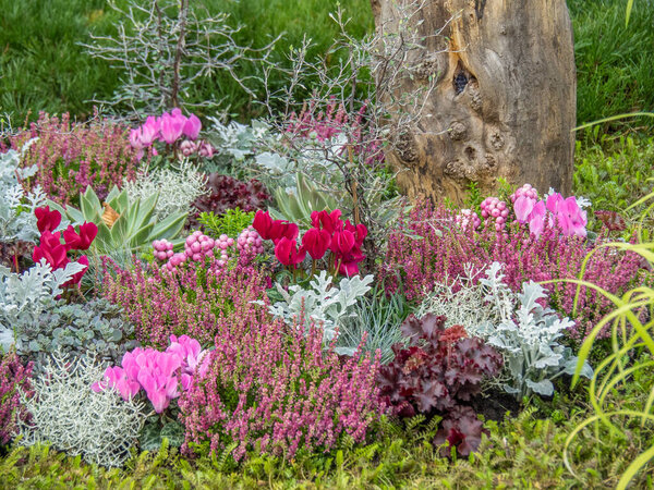 старый замок и парк рядом с Падерборн в Германии