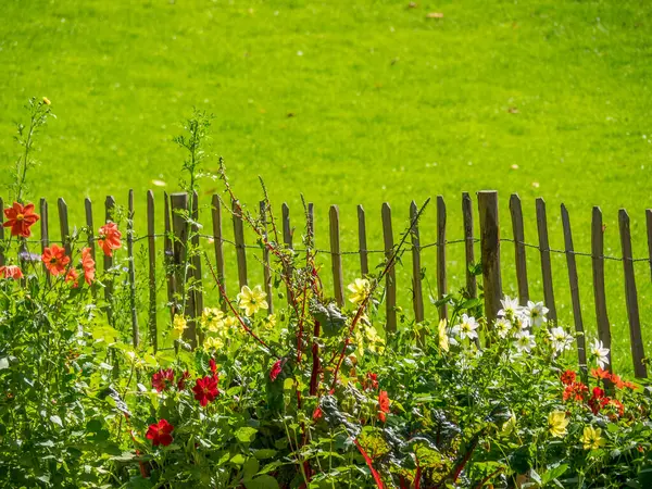 Almanya 'da Paderborn yakınlarında eski bir şato ve park