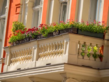 Slovakya 'daki Bratislava şehri