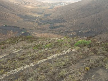 İspanyol adası Lanzarote