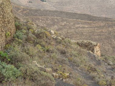 İspanyol adası Lanzarote