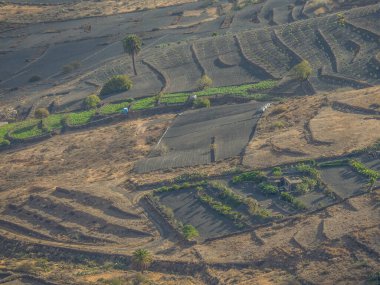 İspanyol adası Lanzarote