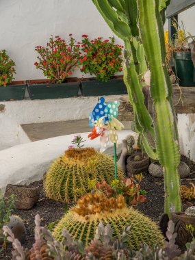 İspanyol adası Lanzarote