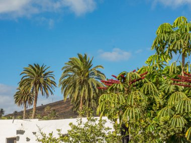 İspanyol adası Lanzarote