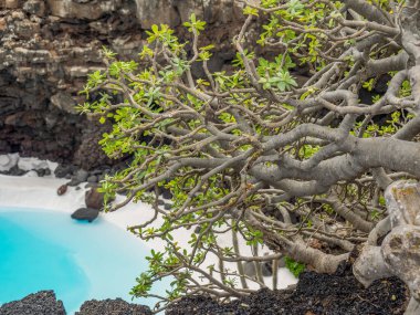 İspanyol adası Lanzarote