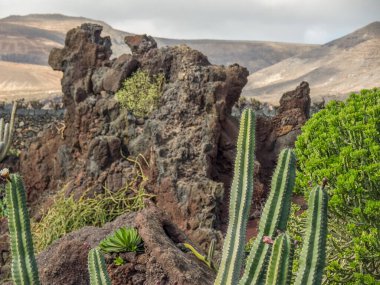 İspanyol adası Lanzarote