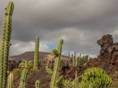 İspanyol adası Lanzarote
